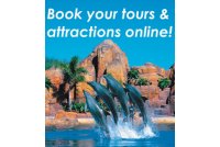 Banner Tours Attractions