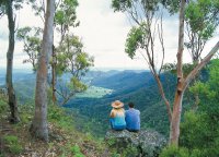 Hiking in Tamborine Mountain