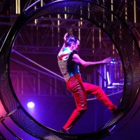 Australian Street Entertainment Carnival