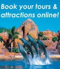 Banner Tours Attractions Banner Tours Attractions