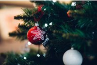 Branch Celebration Christmas Photo By Freestocks Branch Celebration Christmas Photo By Freestocks