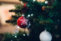 Branch Celebration Christmas Photo By Freestocks Branch Celebration Christmas Photo By Freestocks