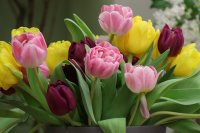 Image by Olga Oginskaya from Pixabay Image by Olga Oginskaya from Pixabay