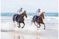 Photo From Gold Coast Magic Millions Photo From Gold Coast Magic Millions