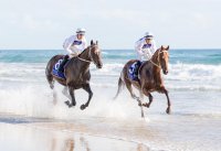 Photo From Gold Coast Magic Millions Photo From Gold Coast Magic Millions